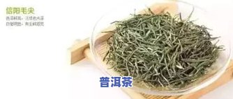 广东十大茶叶排行榜：揭秘更受欢迎的茶品