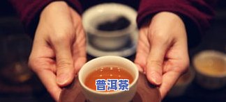 广东十大茶叶排行榜：揭秘更受欢迎的茶品