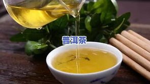 广东十大茶叶排行榜：揭秘更受欢迎的茶品