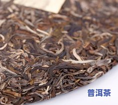 冰岛乔木圆饼普洱茶生茶-冰岛乔木普洱茶价格