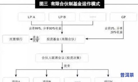 深入熟悉茶叶的制作方法和流程：从采摘到包装全过程详解