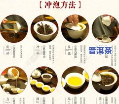 茶叶的制作方法-茶叶的制作方法和流程