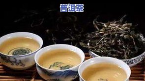 普洱茶适应什么人喝的呢？解析不同人群对普洱茶的需求与益处