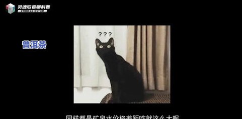 山泉水与纯净水：有何不同？