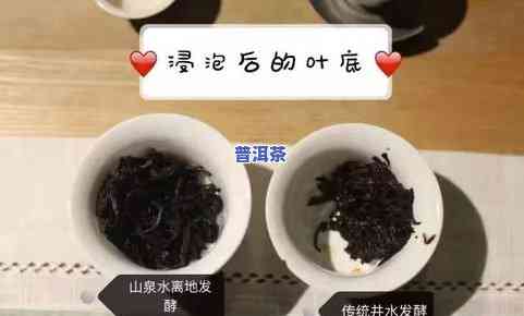 山泉水和普洱茶的区别-山泉水和普洱茶的区别是什么