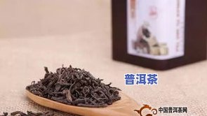 云南哪家普洱茶最正宗？寻找口感更佳的选择！