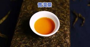 超级贵的普洱茶有哪些品种呢，探秘奢华普洱茶：那些价格惊人的品种