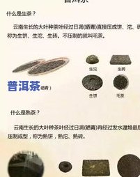 麒麟号普洱茶：价值评估与收藏指南