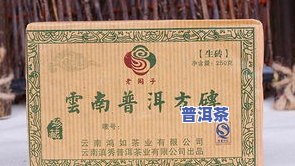 麒麟号普洱茶：价值评估与收藏指南