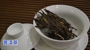 普洱茶适合北方人泡吗？起因解析