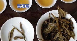 北方人适合喝普洱茶吗？生茶还是熟茶更适合？