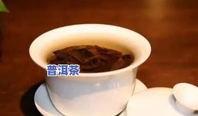 普洱茶适合北方人泡吗-普洱茶适合北方人泡吗