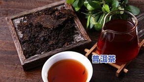 普洱茶适合北方人泡吗-普洱茶适合北方人泡吗