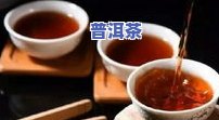 一级普洱茶鲜叶特点图片大全：高清展示与价格解析