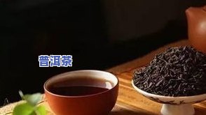 熙春茶作用详解：了解这种茶叶的功效与冲泡方法