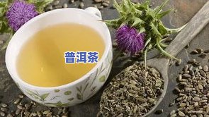 熙春茶作用详解：了解这种茶叶的功效与冲泡方法