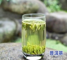 熙春茶作用详解：了解这种茶叶的功效与冲泡方法