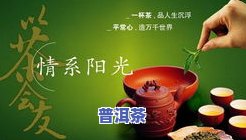 红尘的茶艺：照片、视频与茶叶全收录，一网打尽！