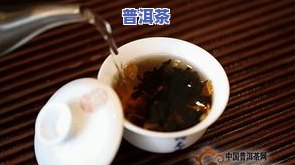 小青柑普洱茶：不适合人群、功效与禁忌全解析