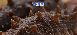 天宏茶业百年老班章2007年500克：天弘茶业百年老班章、天弘百年老班章茶砖价格一览