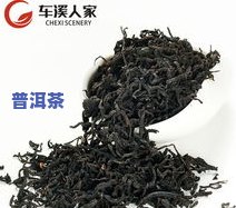 南章普洱茶价格多少一斤？全网最全图片大汇总！