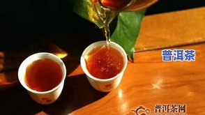 冰岛熟普洱茶的特点：口感醇厚，带有特别的陈香味，性价比更高的一款