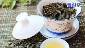 哪些茶叶不需要洗茶-哪些茶叶不需要洗茶的