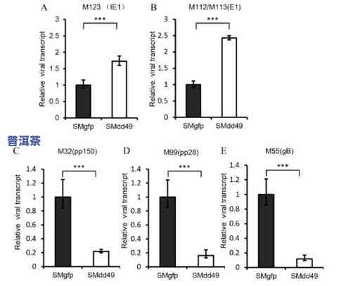 普洱茶的清肠功能：作用、效果及原理全解析