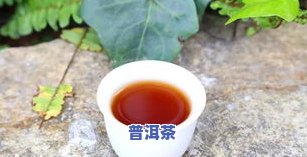 探索普洱茶单株口感：特点、功效与品鉴方法