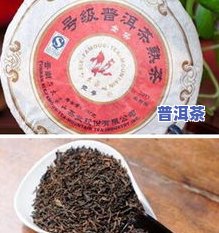 青普洱茶的功效与作用禁忌：全面解析其功效、泡法及与熟普洱的区别