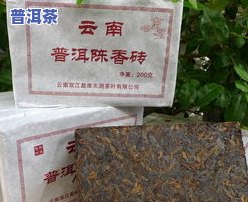 大树金针茶2022价格最新公布：中茶出品，属于哪种茶？