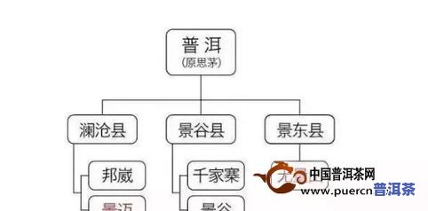 普洱茶仓储排行榜最新出炉：揭示全国更佳仓储地点及口感佳的茶叶