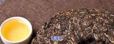 绿色的普洱茶：品种、特性及饮用知识全解析