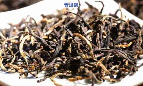 瞿麦普洱茶-瞿麦茶叶