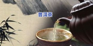 煮普洱茶配什么减脂效果好？女生、视频、女性适用，教你选择更佳搭配