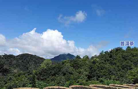 普洱茶之一村在哪？揭秘普洱茶发源地——勐海县