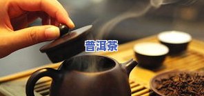 普洱茶注水有讲究：方法与水质的影响