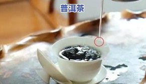 普洱茶注水有讲究：方法与水质的影响