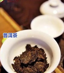 普洱茶发酵过程是不是会产生霉菌？详解起因与视频