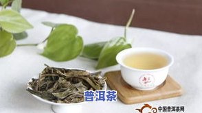 怎么样买普洱茶-怎么样买普洱茶好