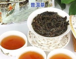 菊花普洱茶好喝吗？详解其冲泡方法与功效作用