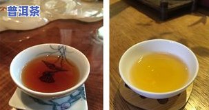 玉茶坊普洱茶价格与冲泡方法全揭秘