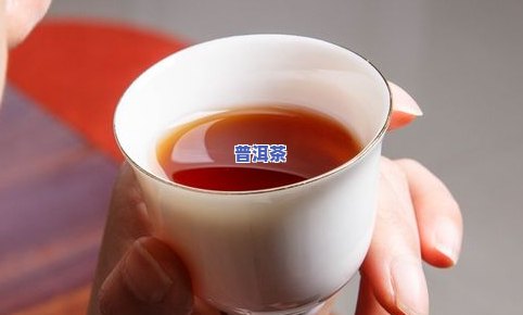 玉茶坊普洱茶价格与冲泡方法全揭秘