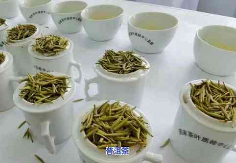 普洱茶奖牌-获奖普洱茶