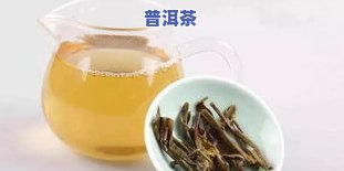 潮汕普洱茶：种类、价格与饮用习惯全解析