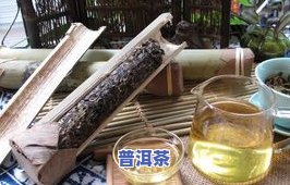 中兴普洱茶-中普普洱茶