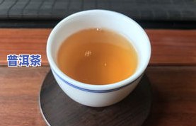 普洱生茶可不可以煮？答案是……