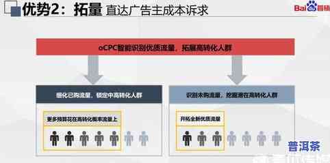 详解普洱茶：最全面、最权威的知识与视频指南