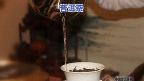 茶叶一杯泡多少合适-茶叶一杯泡多少克合适