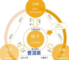 哪些地方的人喜欢喝普洱茶？地域分析与消费群体研究